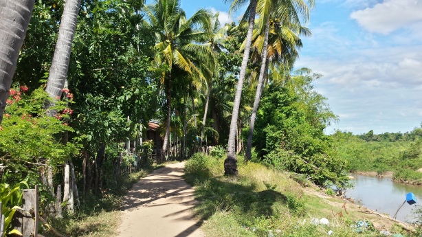 Little path on Don Khon